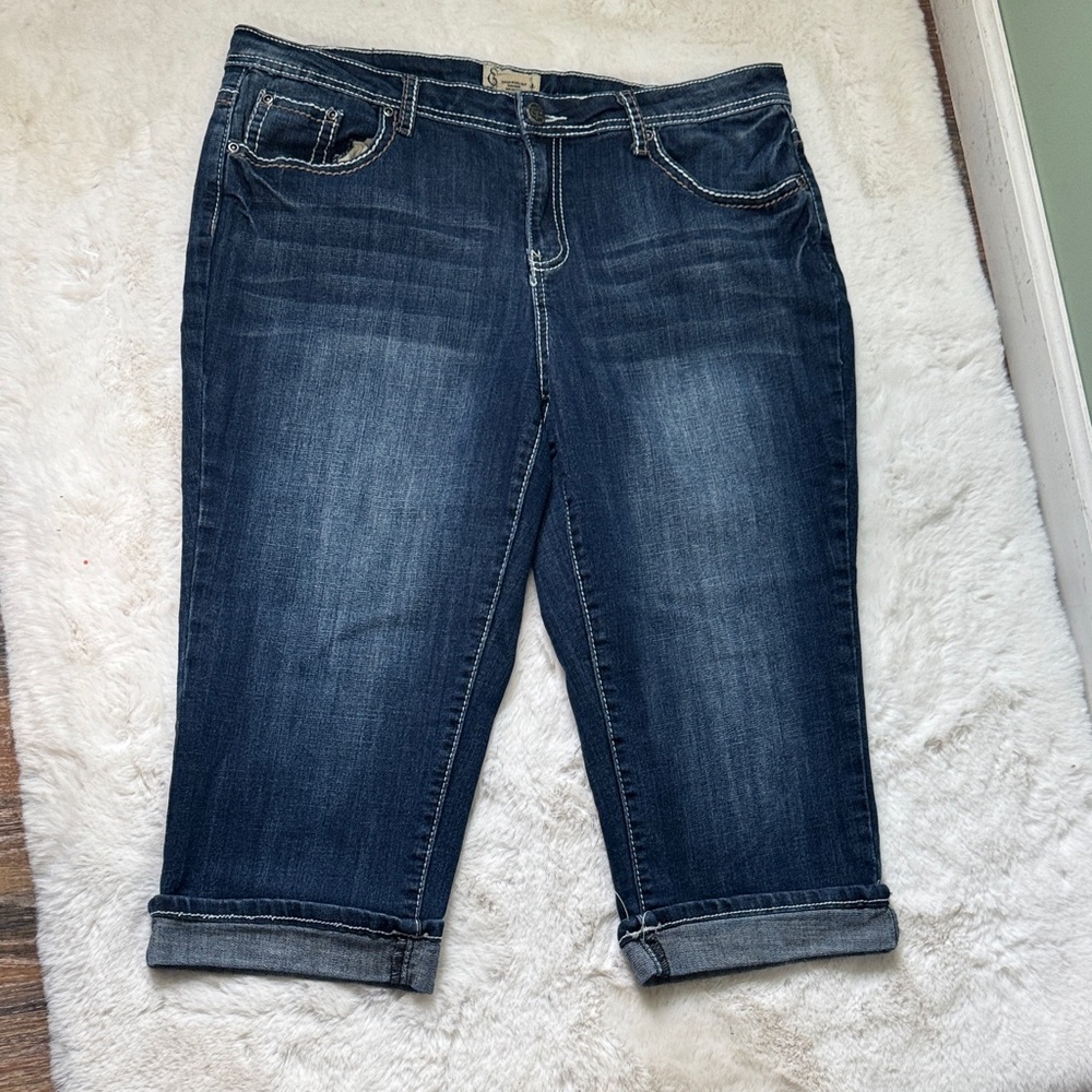 Earl Jeans Dark Blue Cropped Denim 12